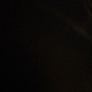 Meet your Posher, Dani